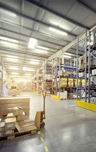 Έντομα Αποθηκών