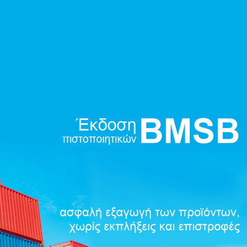 BMSB απολύμανση