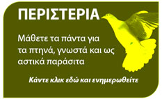 Μάθετε τα πάντα για τα περιστέρια 