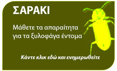 μέθοδοι αντιμετώπισης για σαράκι