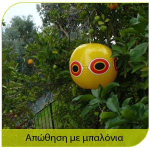 αποτελεσματική αντμετώπιση πτηνών με μπαλόνια