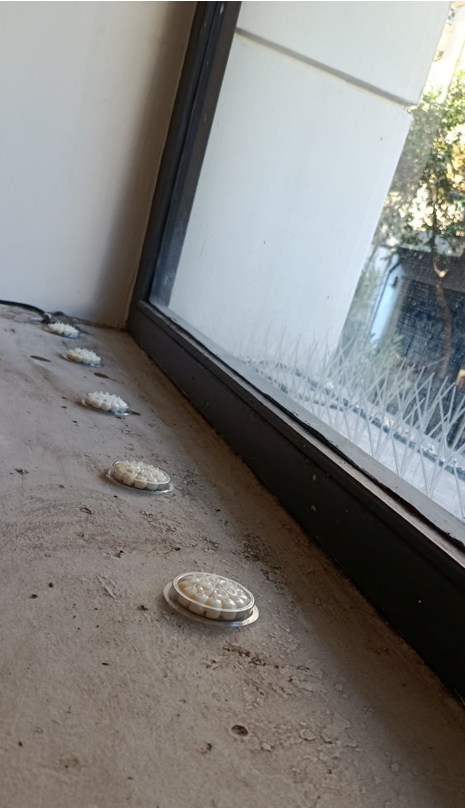 απώθηση περιστεριών και περιστεριού με συσκευές λέϊζερ
